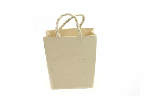 Small Tan paper Gift Bag with handles