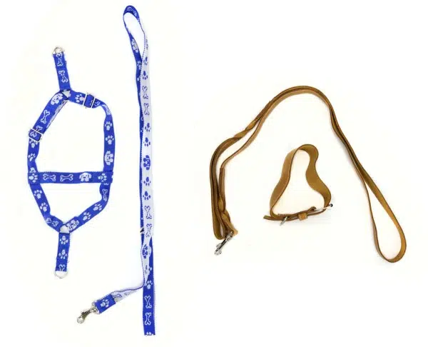 A shot of a bundle of leashes and harness