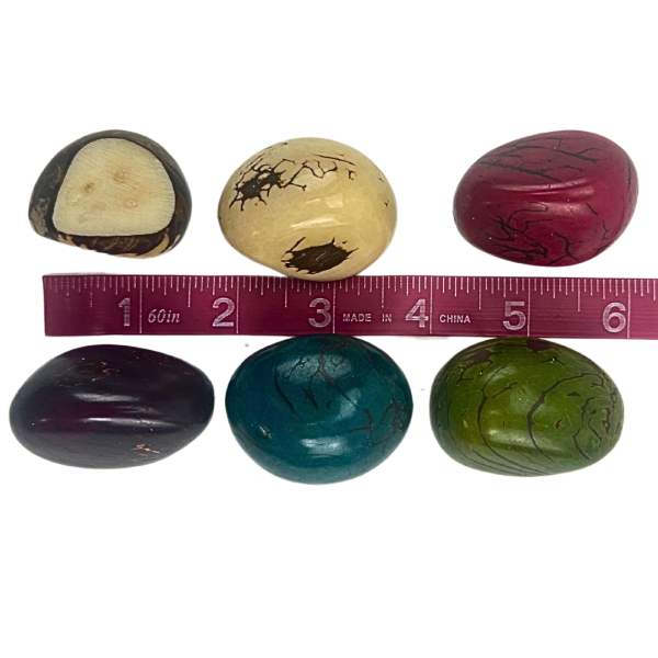Dyed Tagua Nut