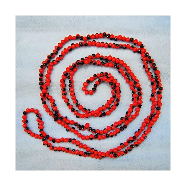 Mini Seed Wrap Necklace