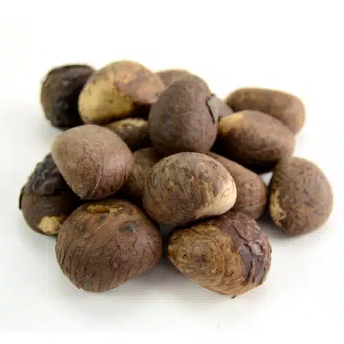 Pounds of Tagua Nuts