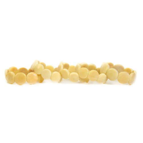 Tagua Round Disc Bracelet