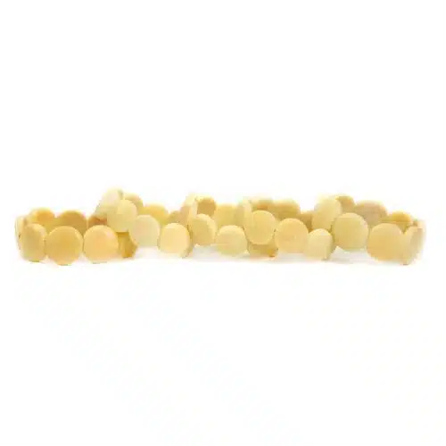 Tagua Round Disc Bracelet