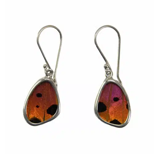 .925 Sterling Silver Butterfly Wing Earrings