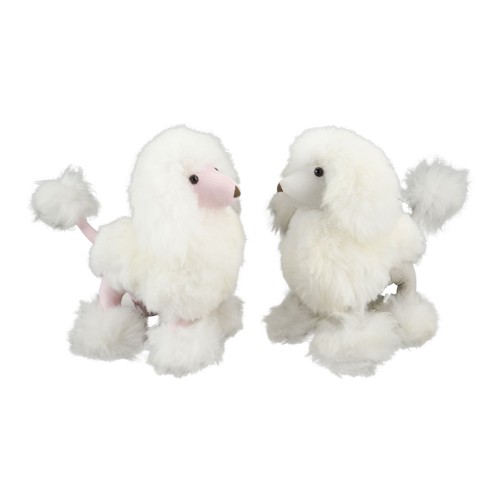 Baby Alpaca Poodle