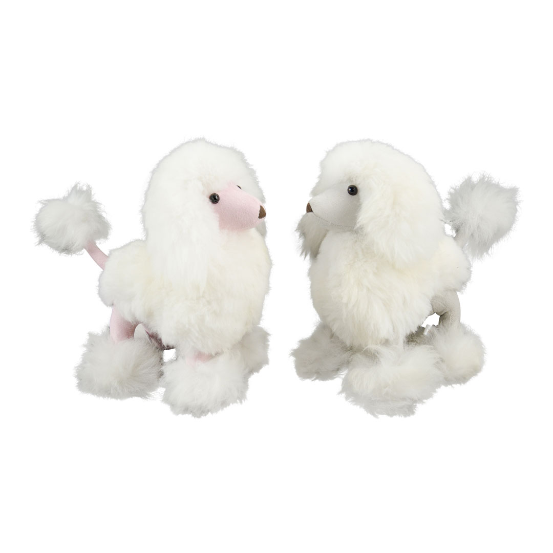 Baby Alpaca Poodle