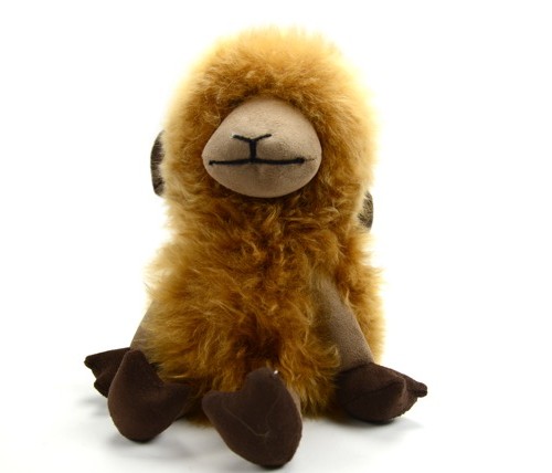 Alpaca Sheep