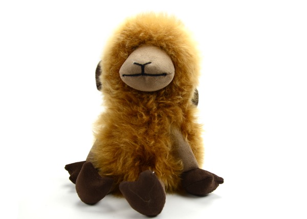 Alpaca Sheep
