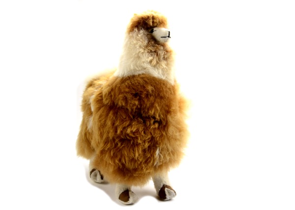 Display 18" Alpaca