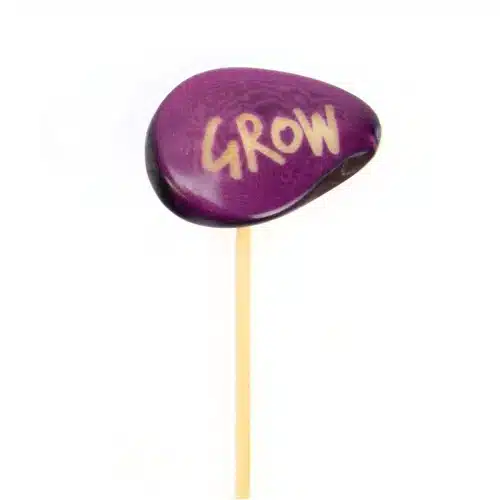 Seed of Wisdom Plant Stake