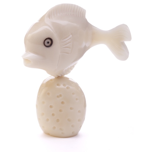 Fish on Coral (B) NOW 62910 Fish 2