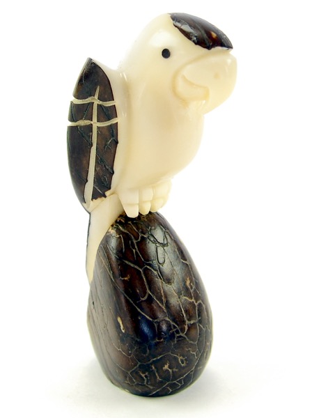 Parrot with Skin (B) NOW 62910 Parrot 3