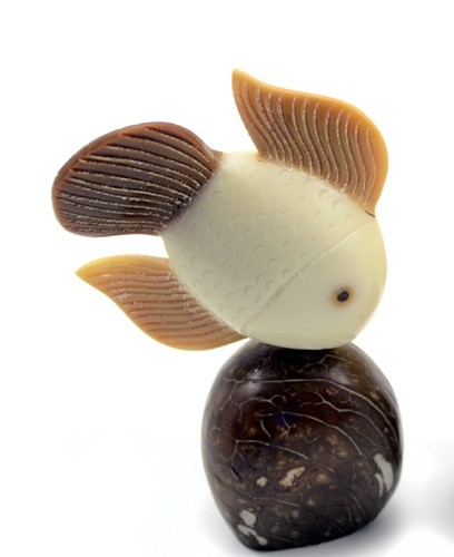 Fish (B) NOW 62910 Fish 1