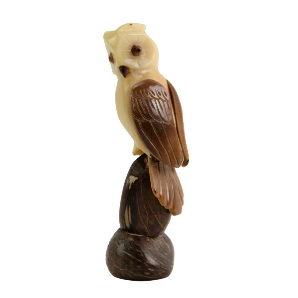 Owl (E)