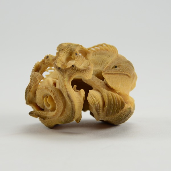 Vegan Ivory Iguana