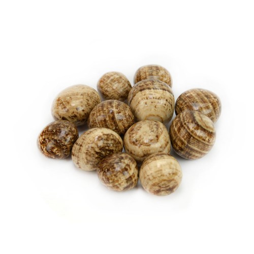 Tumbled Aragonite (lb.)