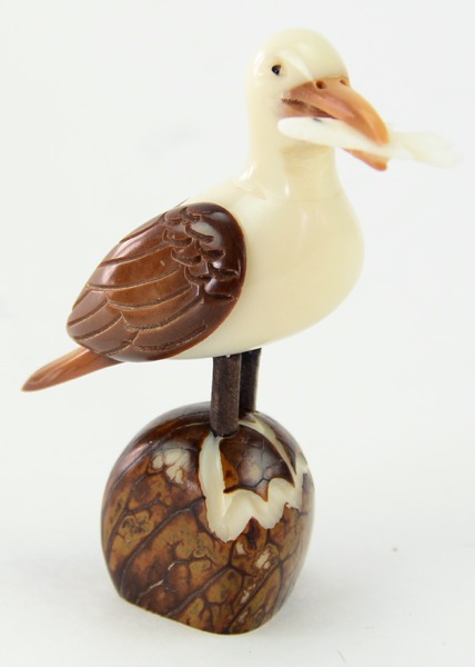 Seagull (C)