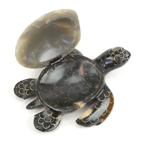 Turtle Treasure Box
