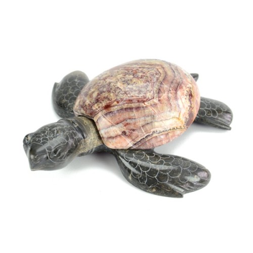 Display Turtle - XS