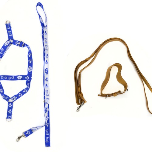Leash & Harness Set