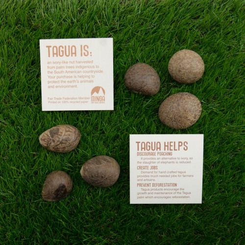 Tagua Informational Cards