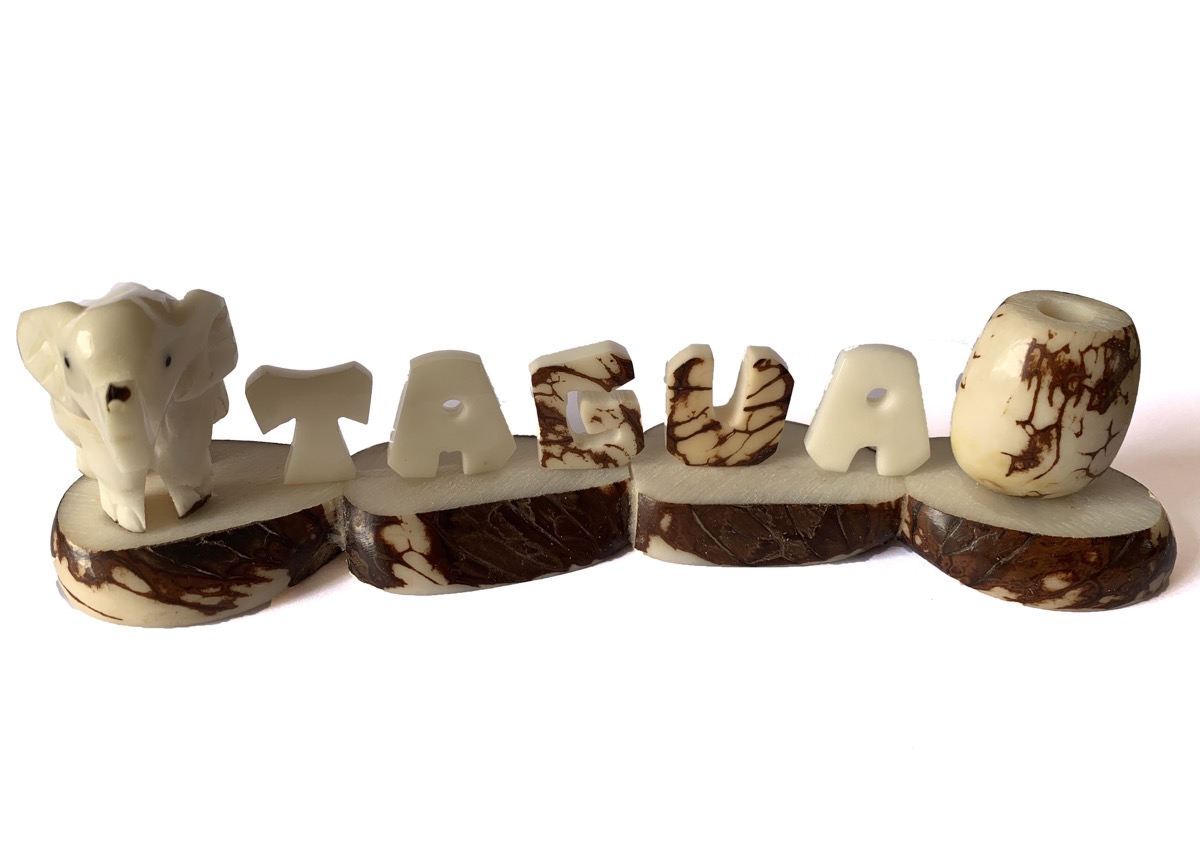 Tagua Carved Pen Holder