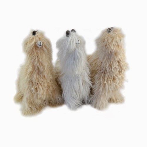 Display 16" Suri Llama